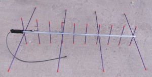 146437-14-1
